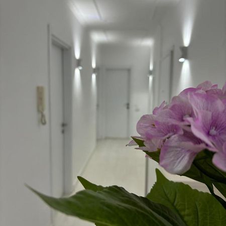 Center, Selvia White Apartment Тирана Экстерьер фото